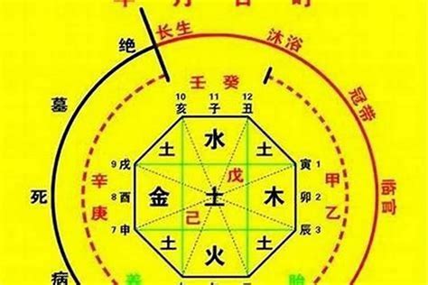 怎麼看喜用神|如何确定八字喜用神 – 八字喜用神的取用技巧